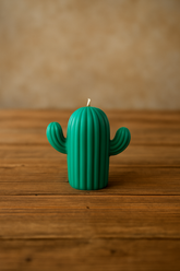 Mini cactus candle (set of 2)